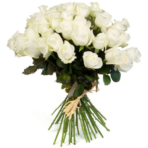 Купить 35 белых роз с доставкой по Каслям
